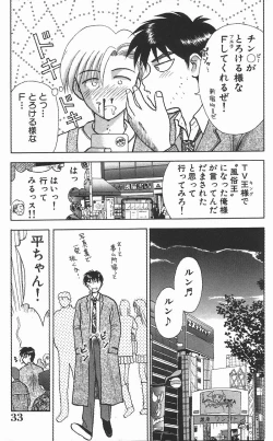 Page 33 of Chousa File H - Investigation File