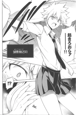 Page 5 of Boku no Iinazuke to Osananajimi ga Shuraba Sugiru Volume 1, 2 & 3