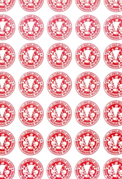 Page 30 of NiSeMoNo 6