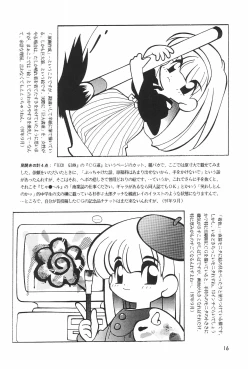 Page 16 of Meishou Misettei