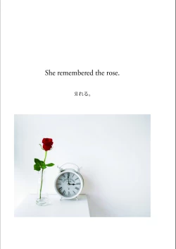 Page 41 of Bouquet d'or