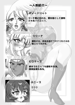 Page 4 of Aidorei  Elf Senki