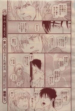 Page 377 of BE・BOY GOLD 2009-04