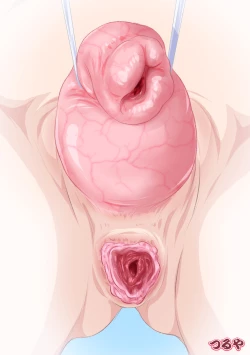 Page 127 of INSIDES - Onnanoko no Nakami Marumie Mook