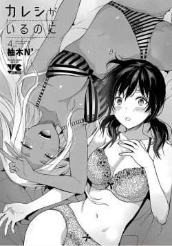 Page 3 of Kareshi ga iru no ni v04