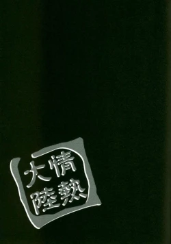 Page 22 of Continental passion