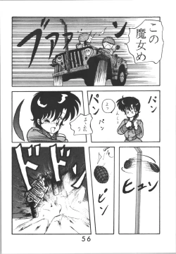 Page 56 of Sieg Heil 2