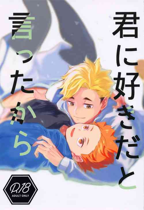 Download Kimi ni Suki da to Ittakara