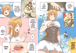 Page 16 of Elf Princess Strikes Back Part2