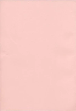 Page 3 of Sugoiyo!! Kasumi-chan 5 Dokkidoki ☆ Clone BABY Panic!