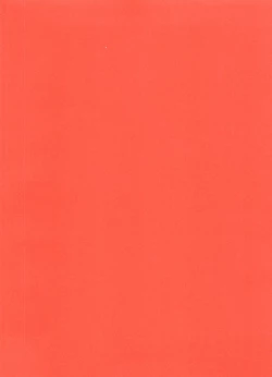 Page 2 of Go To NEXT STEP