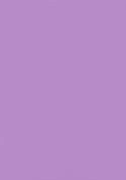 Page 2 of Nishieda Senga Bon