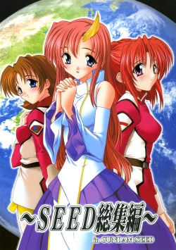 Page 1 of SEED Soushuuhen