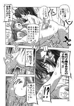 Page 21 of SEED Soushuuhen