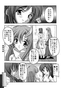 Page 6 of SEED Soushuuhen