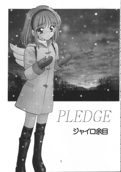 Page 2 of Pledge