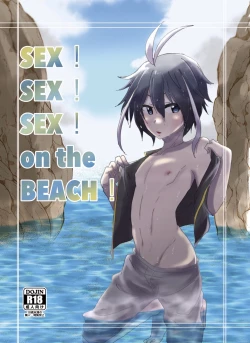 Page 1 of SEX! SEX! SEX! on the BEACH!