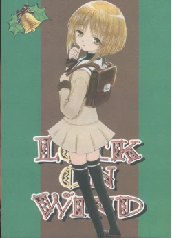 Page 1 of Lock On Wind