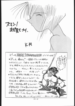 Page 411 of KATZE 13