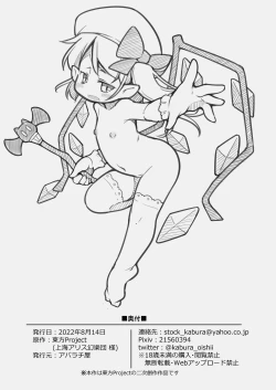 Page 23 of 魔法少女フランは絶対に負けない