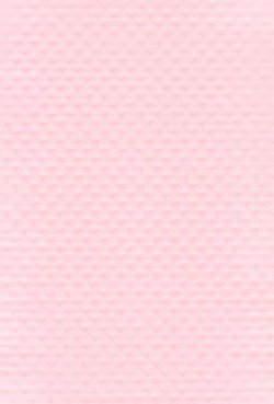 Page 4 of Youkoso! Suteki na Machi Elmore e