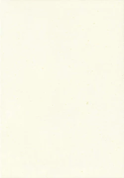 Page 2 of Kirisame Roman Porno