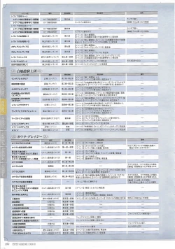 Page 161 of Tenbin no La DEA.Perfect Guidebook