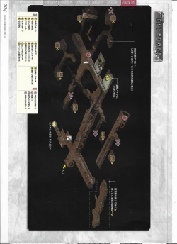 Page 208 of Tenbin no La DEA.Perfect Guidebook