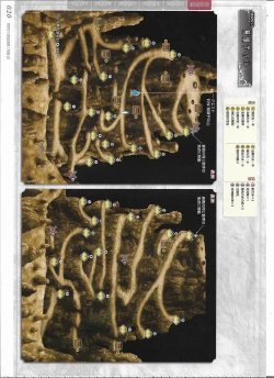 Page 224 of Tenbin no La DEA.Perfect Guidebook