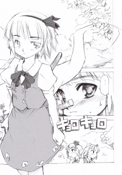 Page 28 of Touhou Ukiyo Emaki - Tanpen Sairokushuu 2005