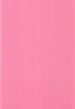 Page 28 of Koyanskaya Tamamo Bitch no Hon. 2