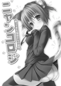 Page 17 of Nyancology Soushuuhen