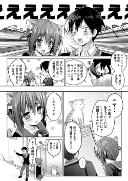 Page 30 of Nyancology Soushuuhen