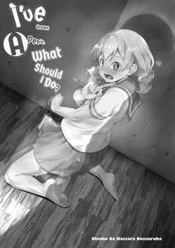 Page 2 of Chinko ga Haetara Dou Suru ka | I’ve Grown a Penis, What Should I Do?