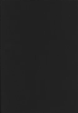 Page 2 of S.G.X. #08