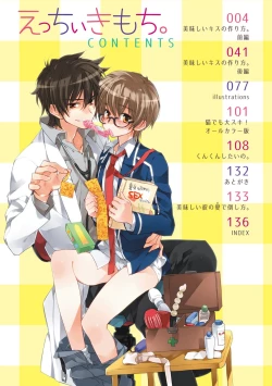 Page 3 of Ecchii Kimochi.