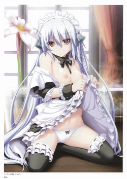 Page 238 of Madou KoukakuPerfect Guidebook