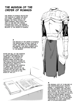 Page 17 of The Order of Romnius - Extra Volume