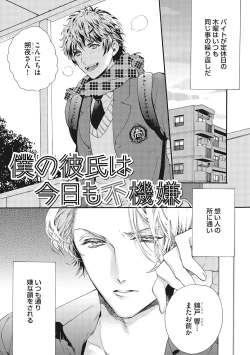 Page 75 of Suki de Doutei Nanka Yattenai!