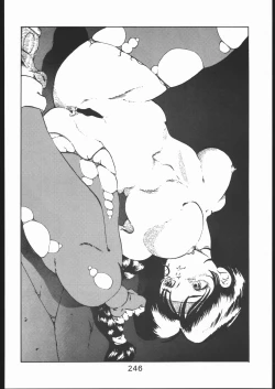 Page 245 of KATZE 10