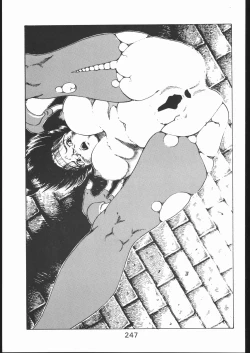 Page 246 of KATZE 10