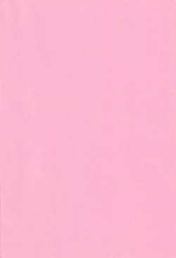 Page 2 of Nyan Nyan Ponyan