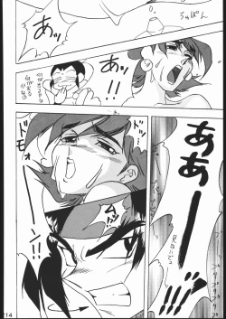 Page 213 of KATZE 11