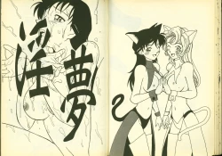 Page 16 of 成人侦探柯南11