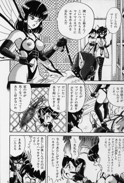 Page 31 of Bondage Fairies Vol. 1