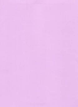 Page 4 of Midnight Nude Noodle