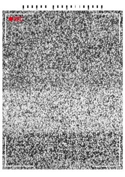 Page 14 of ]FGO Obe guda ♀- 3[ fate grand order )s