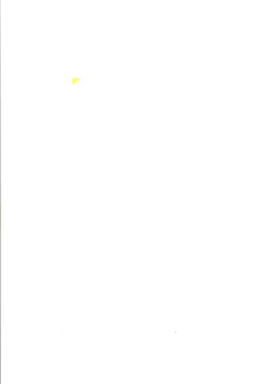 Page 71 of Sakura Ame III