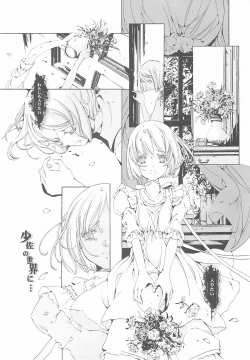 Page 91 of ORGAN-Tino