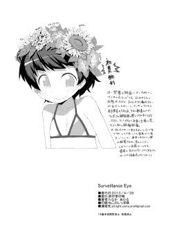 Page 21 of Surveillance Eye